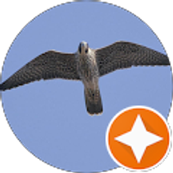 Profile photo of Jack Gang