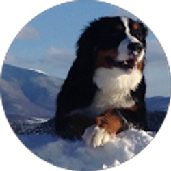 Profile photo of Cynthia Williamson