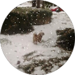 Profile photo of JT PUTMAN