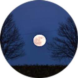 Profile photo of Midnight Mafia Gaming