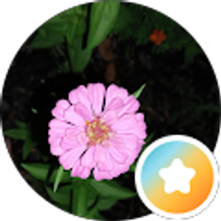 Profile photo of Madame Supreme