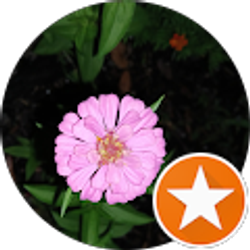 Profile photo of Madame Supreme