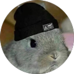 Profile photo of Sleepy Bun