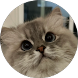 Profile photo of El Aliyar