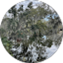 Profile photo of Jessica Priebe