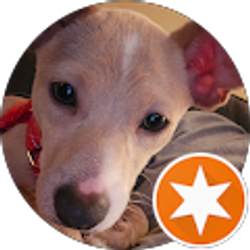 Profile photo of Clayton L Smith