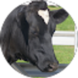 Profile photo of Tina Nemitz