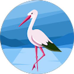 Profile photo of Shirley Perrault