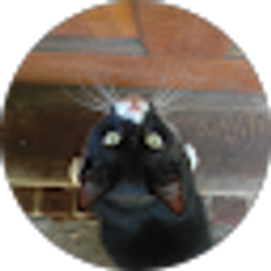 Profile photo of Leighan Godard