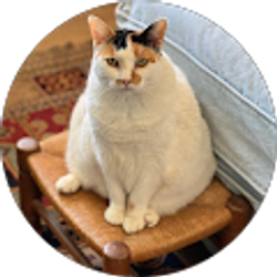 Profile photo of Leah Findler