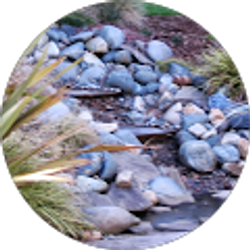 Profile photo of joanna jenkins