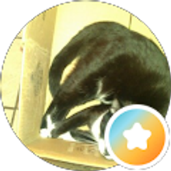 Profile photo of Brandon Eisentrout