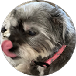 Profile photo of Lori Maine