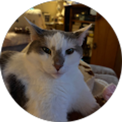 Profile photo of Doris Sloan