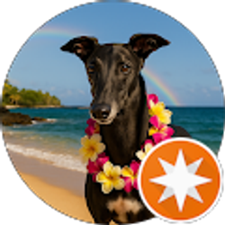 Profile photo of chris shatto