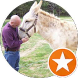 Profile photo of Chris Massey