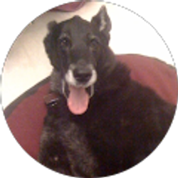 Profile photo of m. castleberry