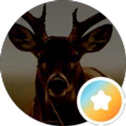 Profile photo of Mike