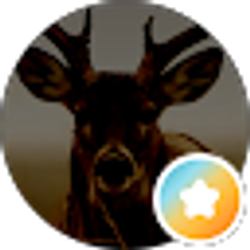 Profile photo of Mike