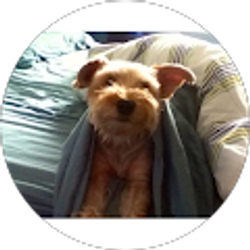 Profile photo of Thinum Stoneheart