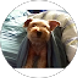 Profile photo of Thinum Stoneheart