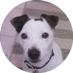 Profile photo of eM Dee