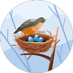 Profile photo of Sarah Saelee