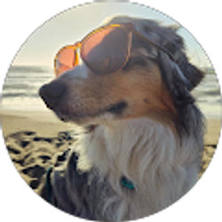 Profile photo of Whitney Masten