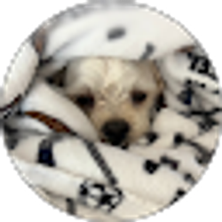 Profile photo of emely ortega