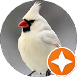 Profile photo of Andrea Soden