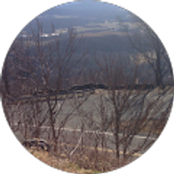 Profile photo of Antonio Argueta