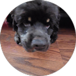 Profile photo of Raymond Melendez