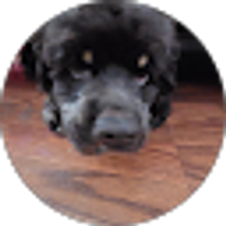 Profile photo of Raymond Melendez