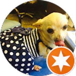 Profile photo of Amy Stark