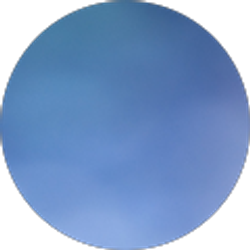 Profile photo of Rayann Rossetti