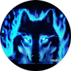 Profile photo of Bradley Burch