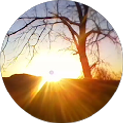 Profile photo of Michael Worley