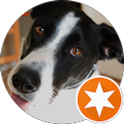 Profile photo of Bill Lindley