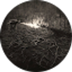 Profile photo of Vincent Colaiocco