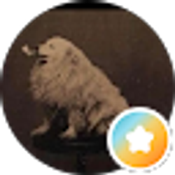Profile photo of M W