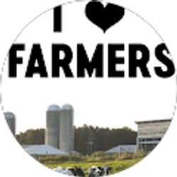 Profile photo of Debi Heishman