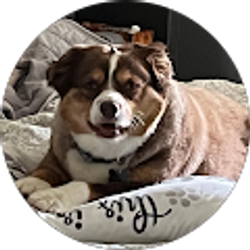 Profile photo of Trish Long