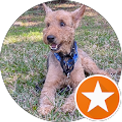 Profile photo of Frank Romary