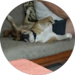 Profile photo of Dylan Seissiger