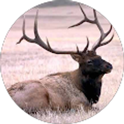 Profile photo of John Florey