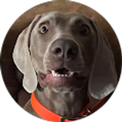 Profile photo of H. E.
