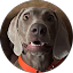 Profile photo of H. E.