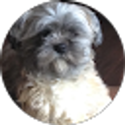 Profile photo of William Alexander