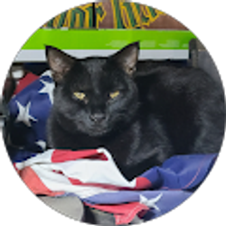 Profile photo of David Cole