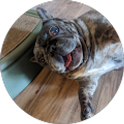 Profile photo of Paty Pimentel